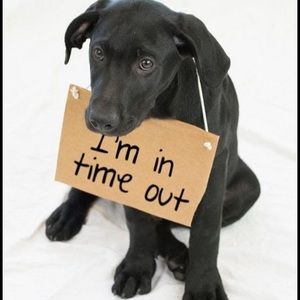 Meet your Posher, Emery